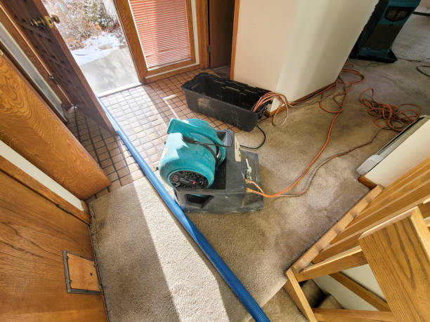 Best Water damage restoration mold remediation  in USA