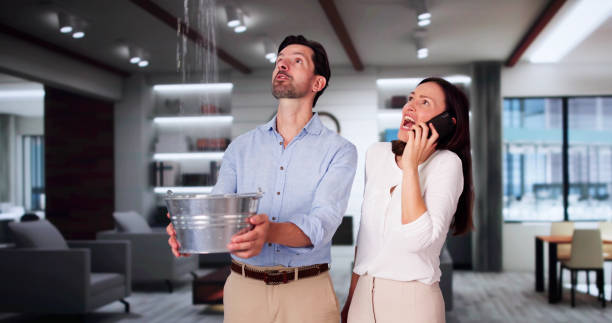 Best Water damage restoration insurance claims  in USA